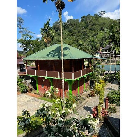 Rain Forest Guest House And Jungle Trekking Bukit Lawang Bagian luar foto