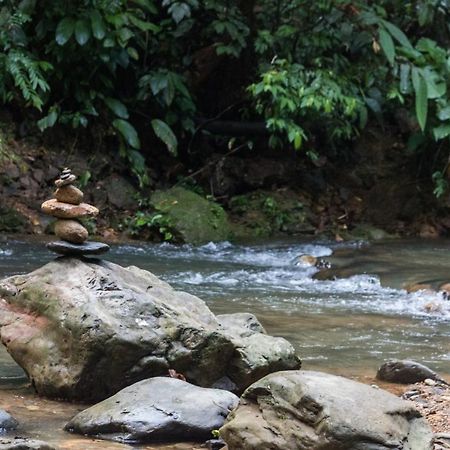 Rain Forest Guest House And Jungle Trekking Bukit Lawang Bagian luar foto
