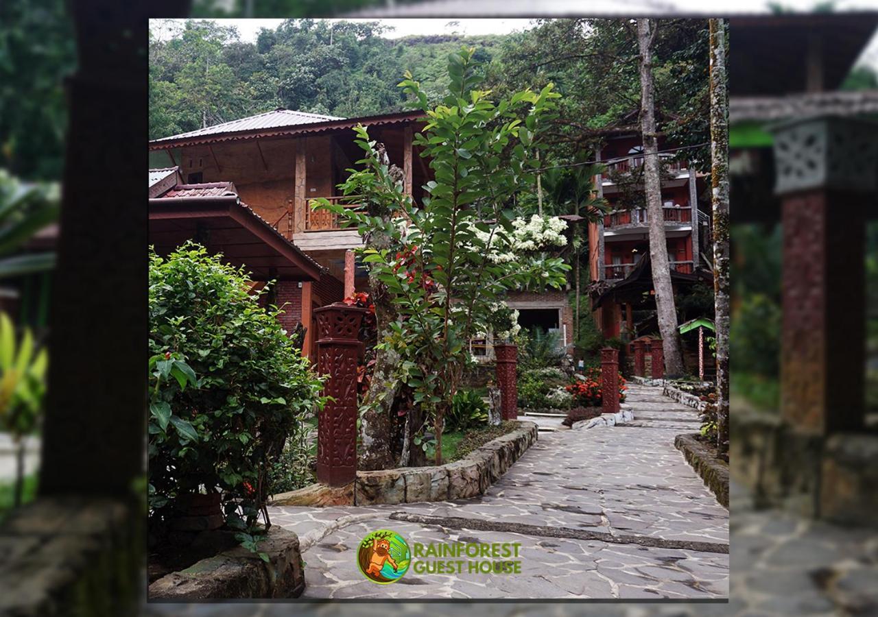 Rain Forest Guest House And Jungle Trekking Bukit Lawang Bagian luar foto