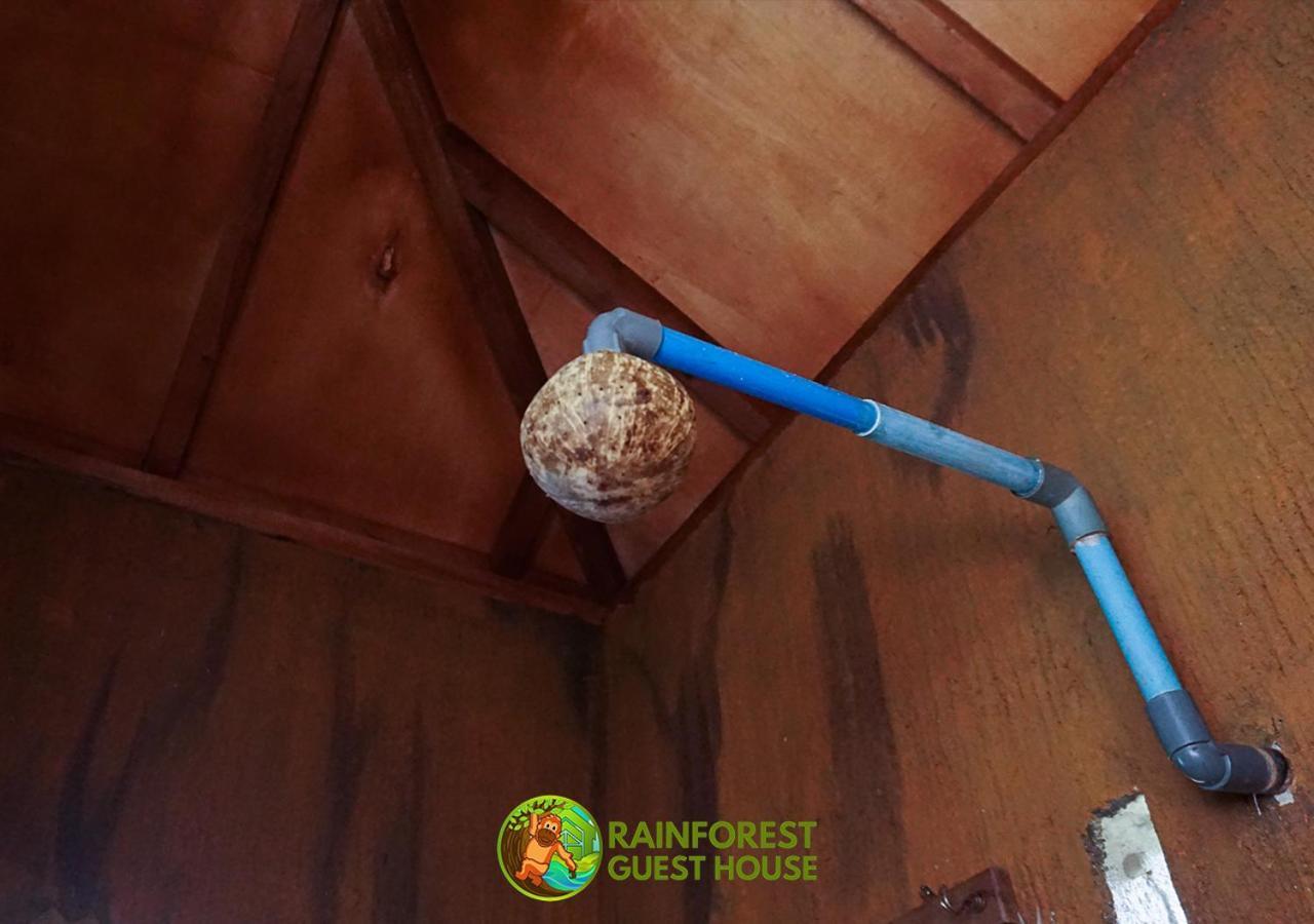Rain Forest Guest House And Jungle Trekking Bukit Lawang Bagian luar foto