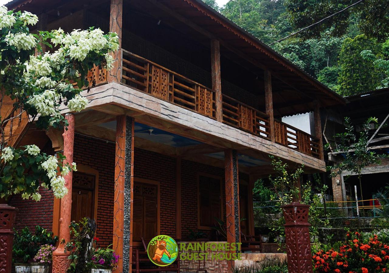 Rain Forest Guest House And Jungle Trekking Bukit Lawang Bagian luar foto