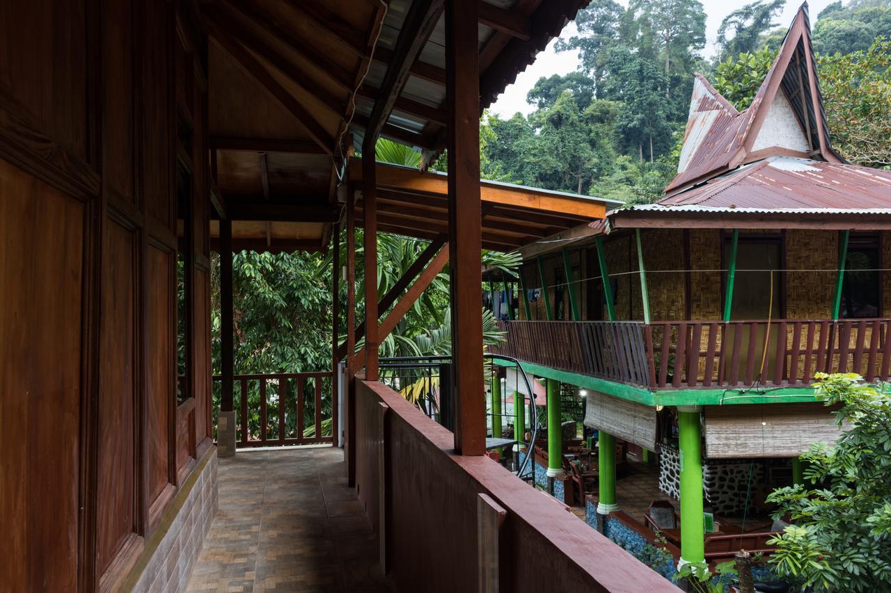 Rain Forest Guest House And Jungle Trekking Bukit Lawang Bagian luar foto