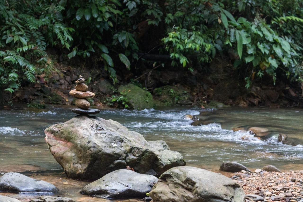 Rain Forest Guest House And Jungle Trekking Bukit Lawang Bagian luar foto