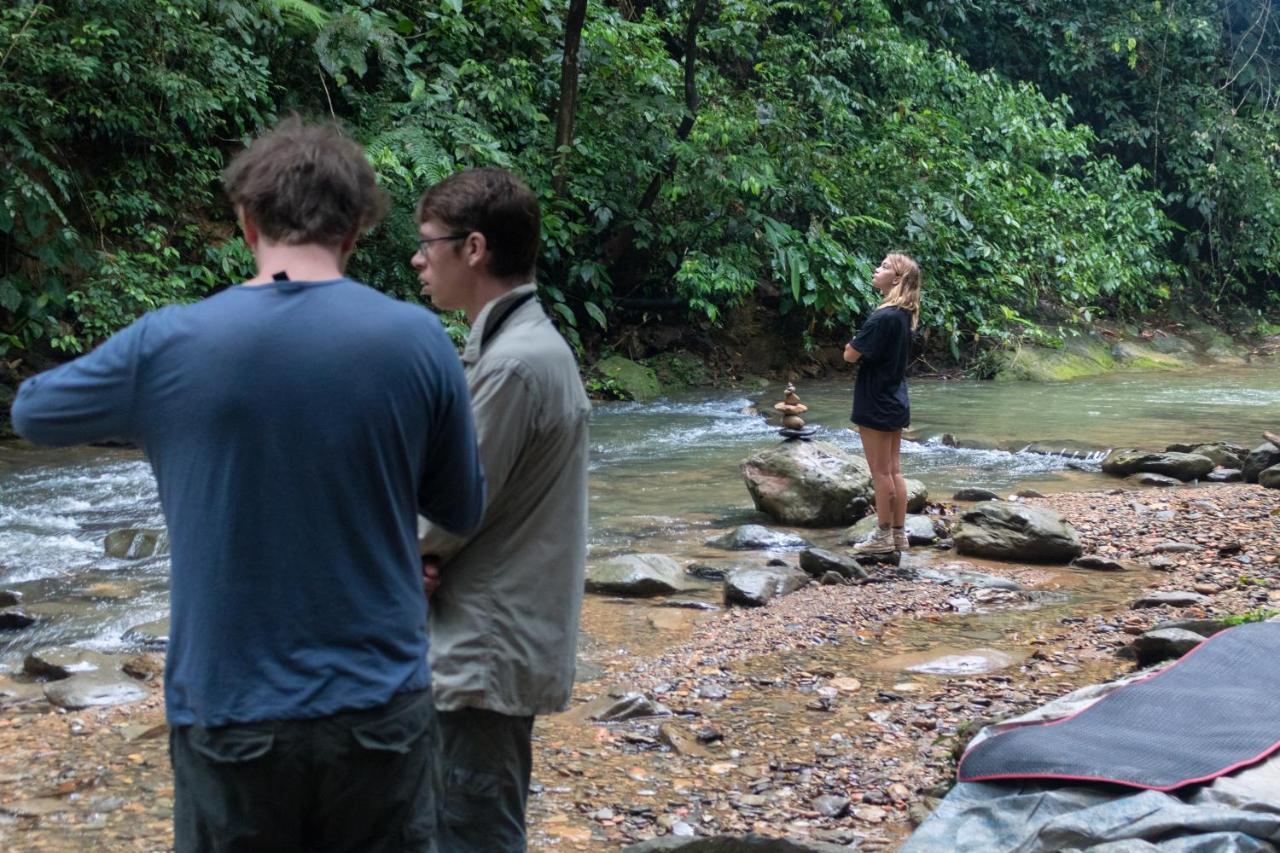 Rain Forest Guest House And Jungle Trekking Bukit Lawang Bagian luar foto